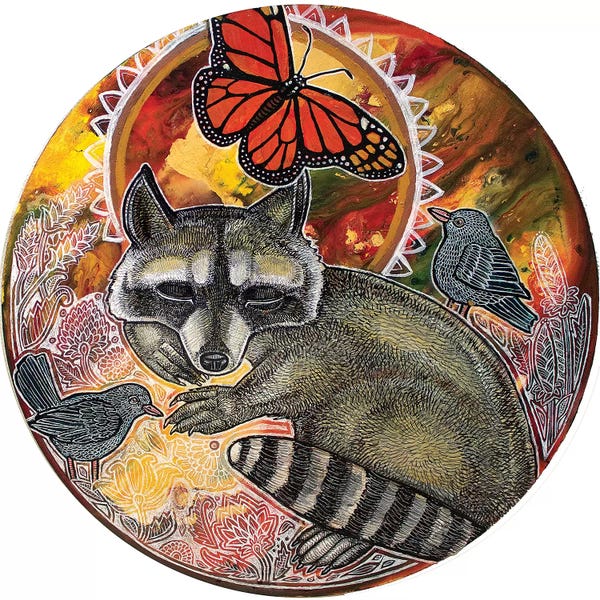 Raccoons: Dreaming Raccoon by Lynnette Shelley