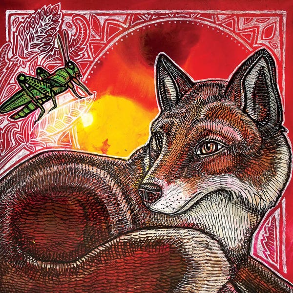 Grasshoppers: Fox And Grasshopper by Lynnette Shelley