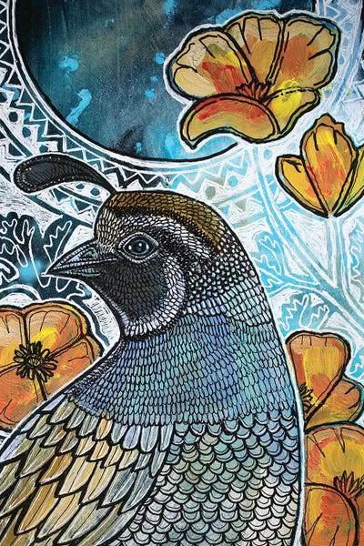 Quails: California Quail by Lynnette Shelley