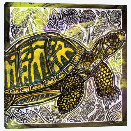 Box Turtle And Dandelions Canvas Print #LSH167} by Lynnette Shelley Canvas Art Print