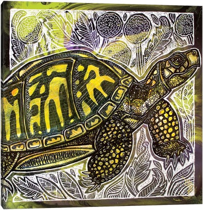 Box Turtle And Dandelions Canvas Art Print