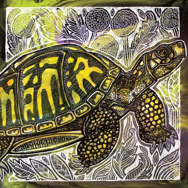 Turtles: Box Turtle And Dandelions by Lynnette Shelley