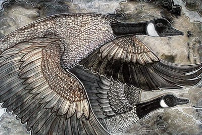 Chasing Clouds by Lynnette Shelley art print