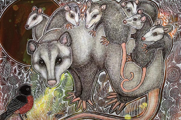 Possums