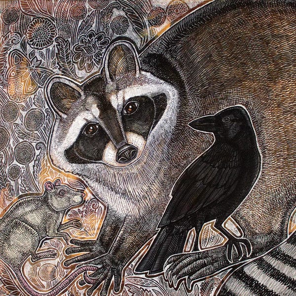 Raccoons: Neighbors by Lynnette Shelley