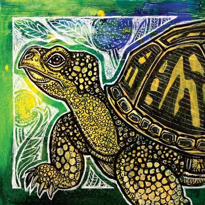 Spring Turtle by Lynnette Shelley framed canvas print
