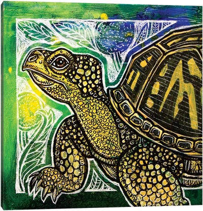 Spring Turtle Canvas Art Print - Lynnette Shelley