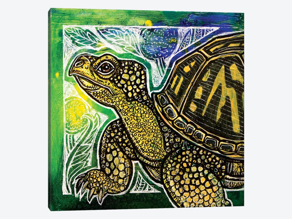 Spring Turtle by Lynnette Shelley 1-piece Canvas Art