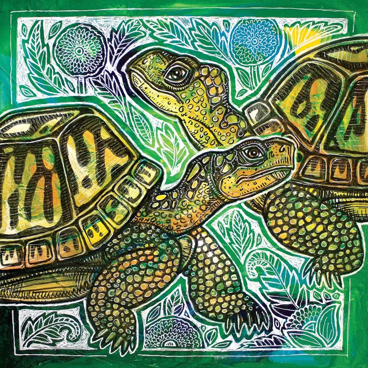 Turtle Crossing by Lynnette Shelley wall art