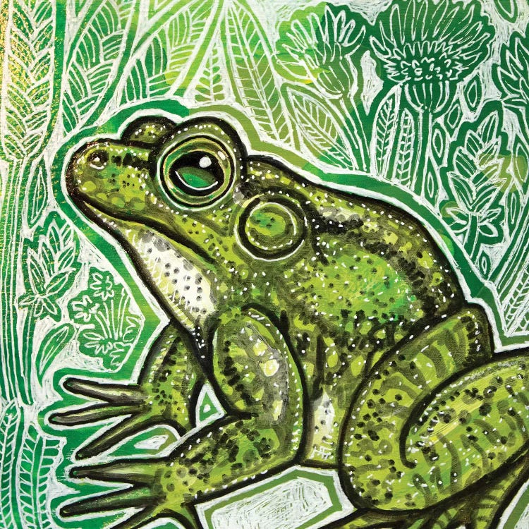 Little Frog by Lynnette Shelley wall art