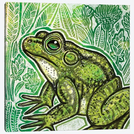Little Frog Canvas Print #LSH187} by Lynnette Shelley Canvas Art Print