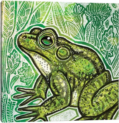Little Frog Canvas Art Print - Lynnette Shelley