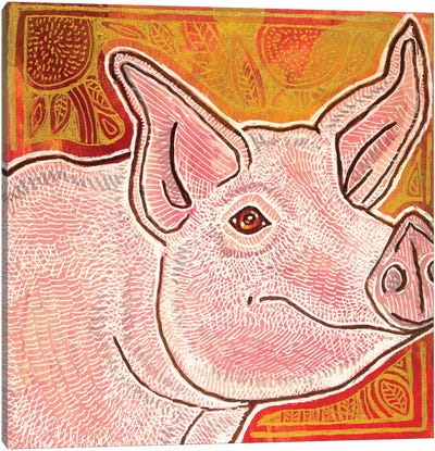 Little Pig Canvas Art Print - Lynnette Shelley