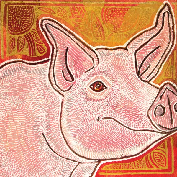 Pigs: Little Pig by Lynnette Shelley