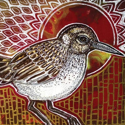 Sandpiper by Lynnette Shelley framed wall art