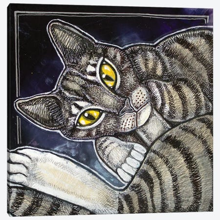 Cat Curl Canvas Print #LSH194} by Lynnette Shelley Canvas Art