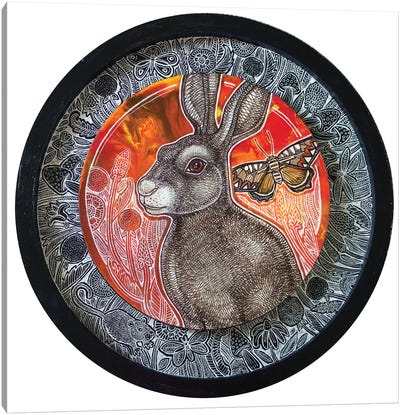 Rabbit Song Canvas Art Print - Lynnette Shelley