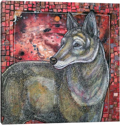 Coyote Sunset Canvas Art Print - Lynnette Shelley