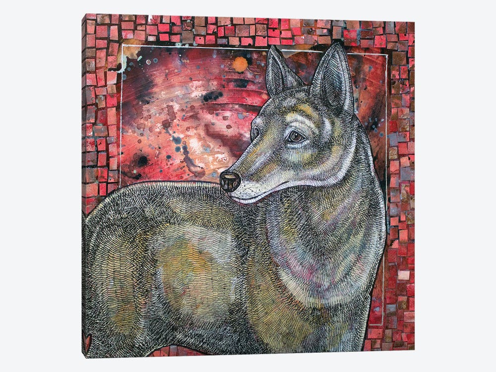 Coyote Sunset by Lynnette Shelley 1-piece Canvas Art Print