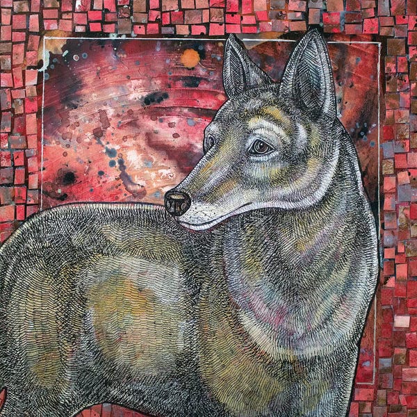 Coyotes: Coyote Sunset by Lynnette Shelley