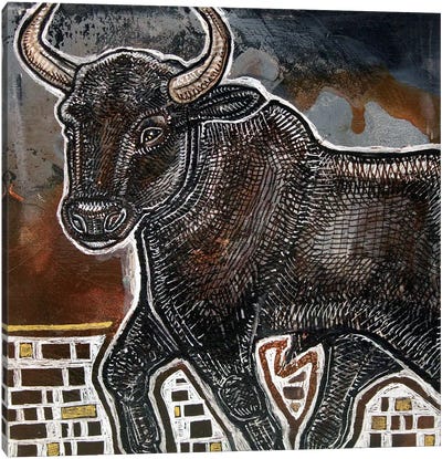 Black Bull Canvas Art Print - Lynnette Shelley