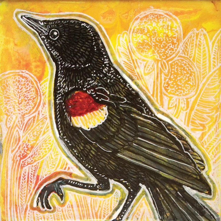 Red-Winged Blackbird by Lynnette Shelley wall art