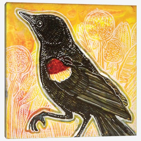 Red-Winged Blackbird Canvas Print #LSH223} by Lynnette Shelley Art Print