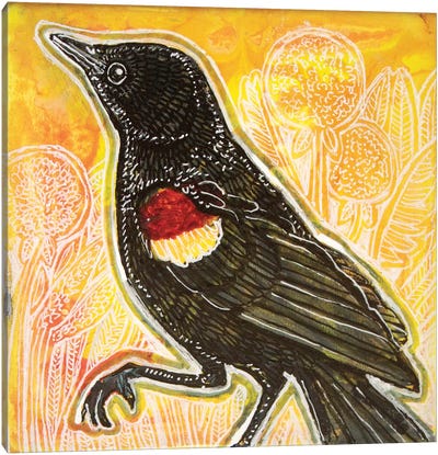 Red-Winged Blackbird Canvas Art Print - Lynnette Shelley