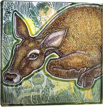 Resting Deer Canvas Art Print - Lynnette Shelley