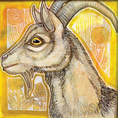 Goat With Dandelions by Lynnette Shelley framed canvas print