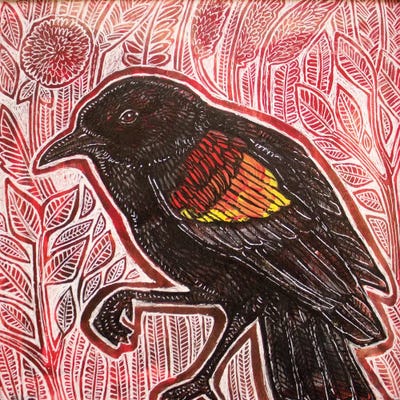 Visiting Blackbird by Lynnette Shelley art print