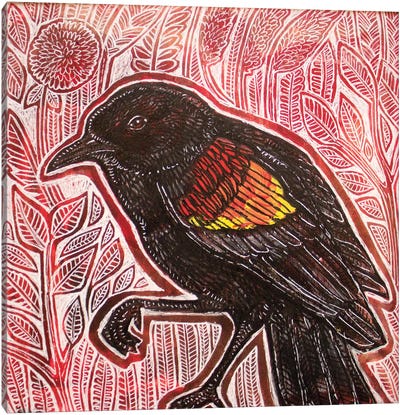 Visiting Blackbird Canvas Art Print - Lynnette Shelley