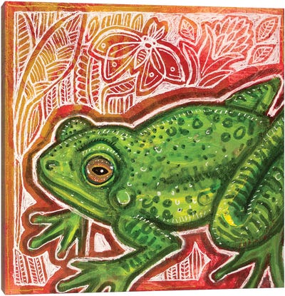 Little Green Frog Canvas Art Print - Frog Art