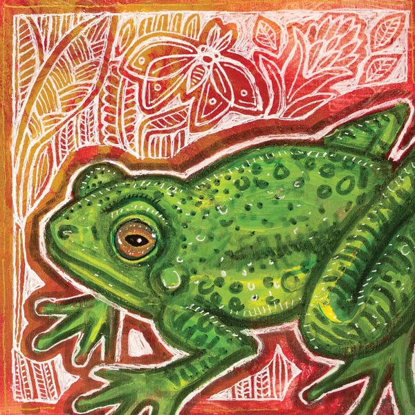 Frogs: Little Green Frog by Lynnette Shelley