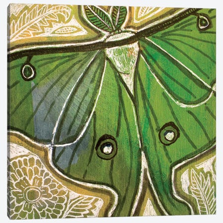 Little Luna Moth Canvas Print #LSH251} by Lynnette Shelley Canvas Wall Art
