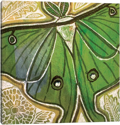 Little Luna Moth Canvas Art Print - Lynnette Shelley