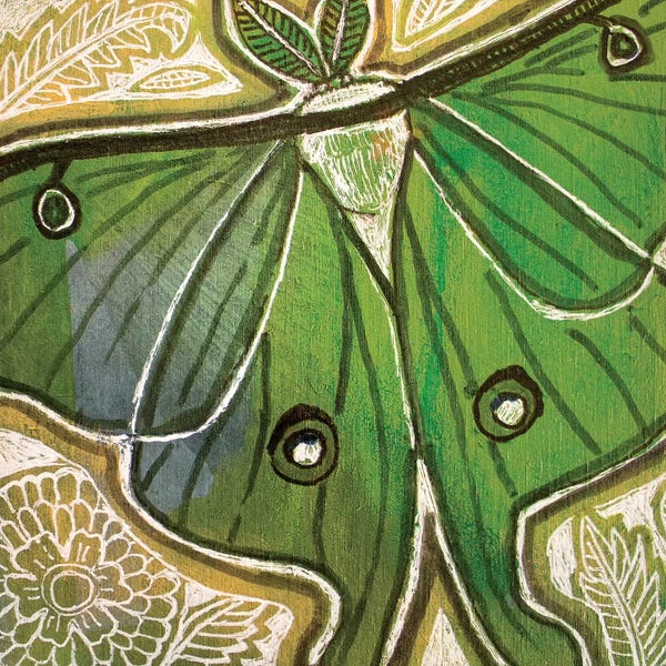 Moths: Little Luna Moth by Lynnette Shelley