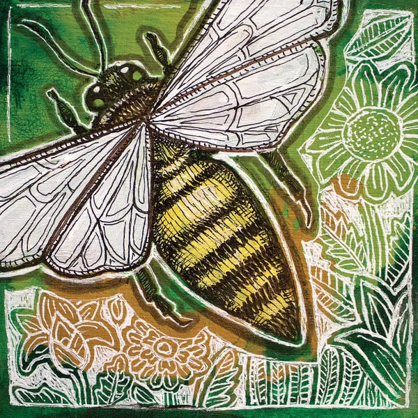 Bees: Little Bee by Lynnette Shelley