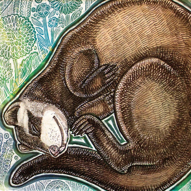 Dreaming Ferret by Lynnette Shelley wall art