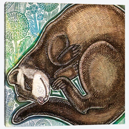 Dreaming Ferret Canvas Print #LSH257} by Lynnette Shelley Art Print