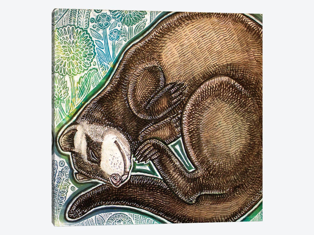 Dreaming Ferret by Lynnette Shelley 1-piece Canvas Wall Art