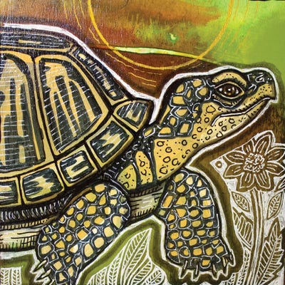 Small Turtle by Lynnette Shelley art print