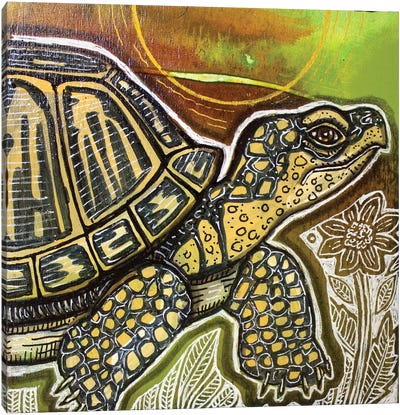 Small Turtle Canvas Art Print - Lynnette Shelley