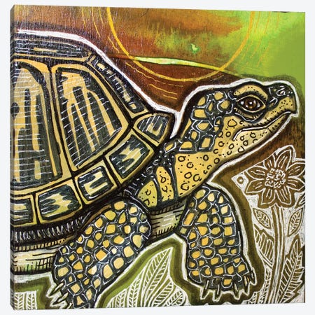 Small Turtle Canvas Print #LSH264} by Lynnette Shelley Canvas Wall Art