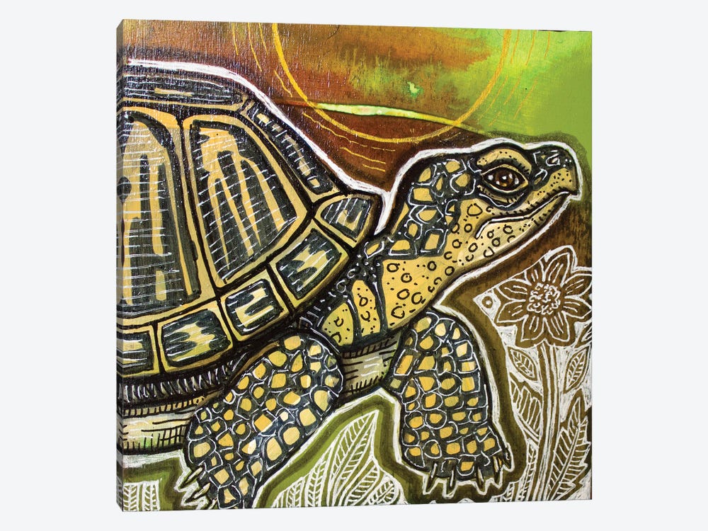 Small Turtle by Lynnette Shelley 1-piece Canvas Wall Art