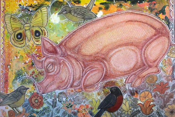Pigs: Dreaming Pig by Lynnette Shelley