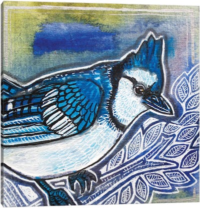 Blue Jay Canvas Art Print - Lynnette Shelley
