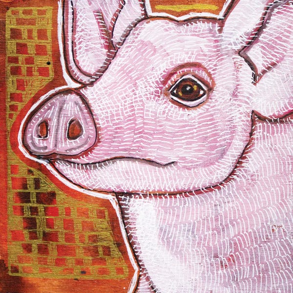 Pigs: Pink Pig by Lynnette Shelley