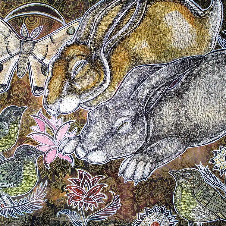 Dreaming Rabbits