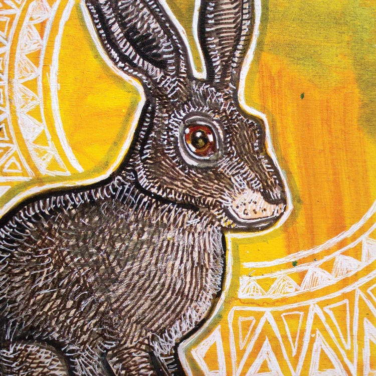 Sun Rabbit